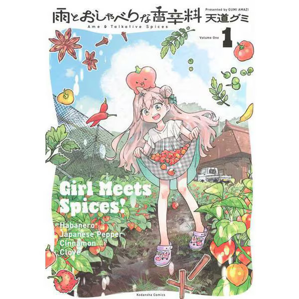 Rain and Talkative Spice Comic Book KC Deluxe Very Good Japan Import