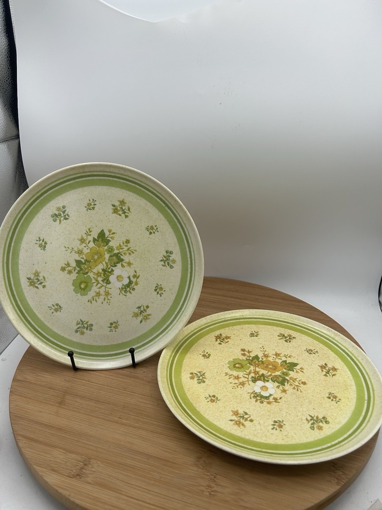 Vintage Daisy Floral Melamine Plates 10