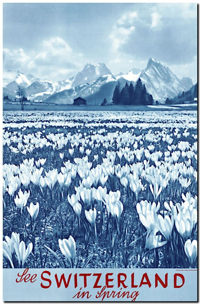 Retro Travel Poster *FRAMED* CANVAS ART Switzerland Tulips 18x12