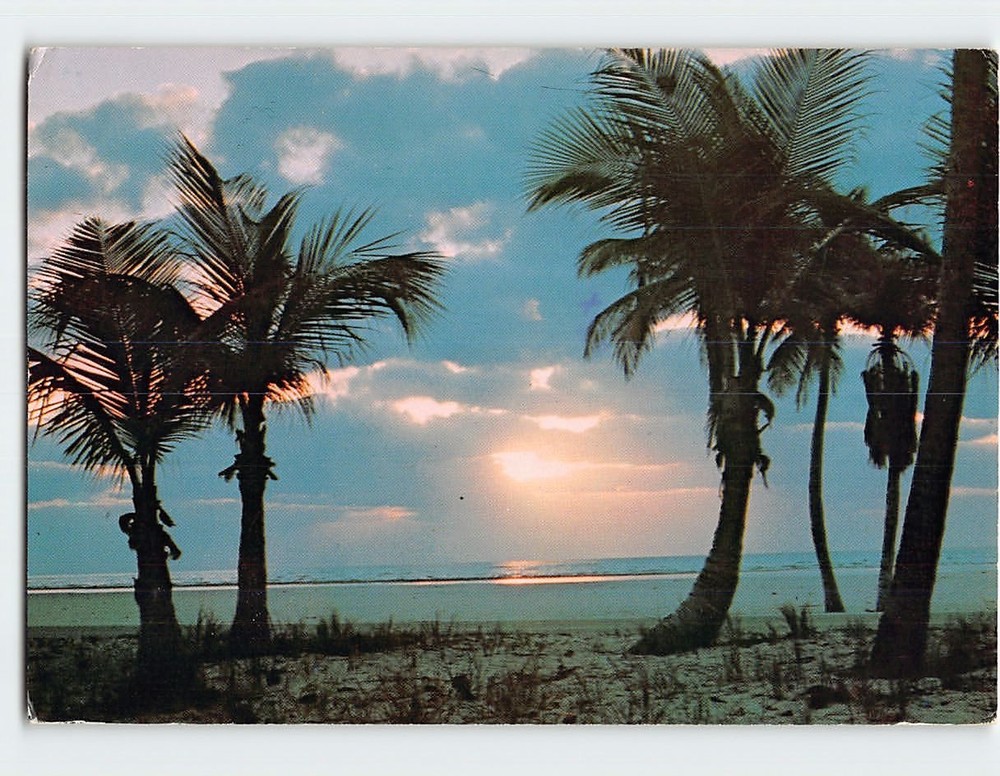 Postcard Sunrise Scene in Florida USA