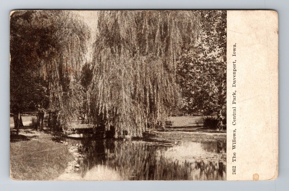 Davenport IA-Iowa, The Willows, Central Park, Antique, Vintage c1908 Postcard