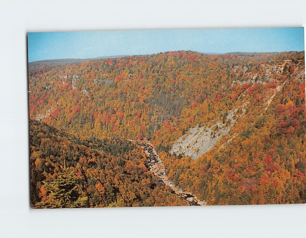Postcard Blackwater Canyon Blackwater Falls State Park West Virginia USA