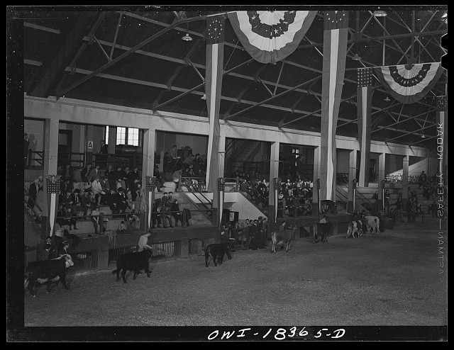 Madison Wisconsin 1943 Little International Horse Act University of Wisconsin