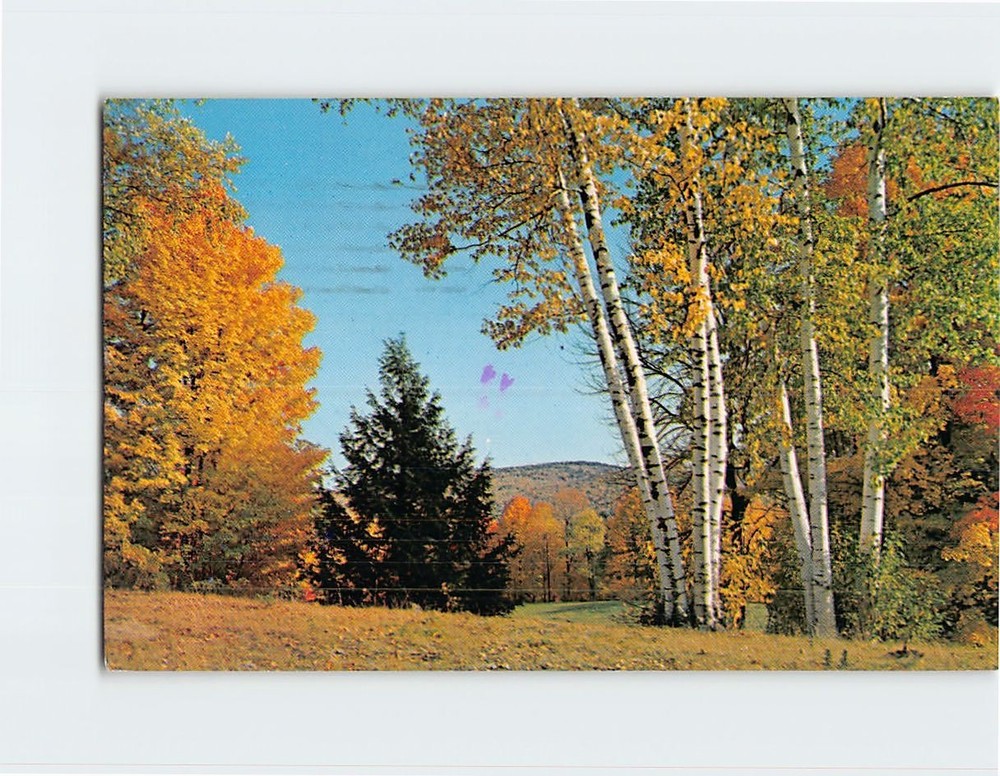 Postcard A typical New England fall scene