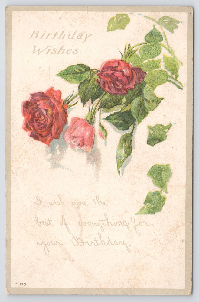 Greetings~Red Roses Hanging On Vine & Birthday Wishes~Vintage Postcard