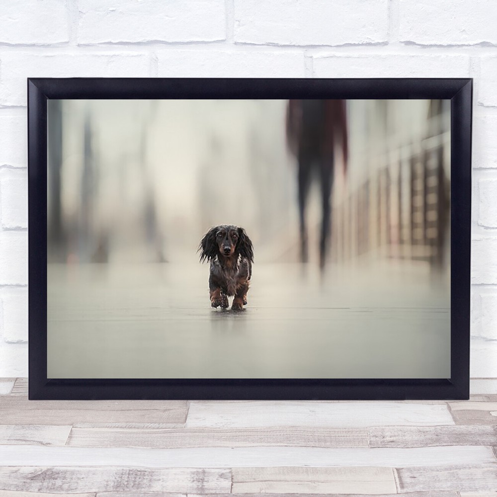 Going Home Urban Hamburg Dogs Cityscape Bridge Animals Wall Art Print