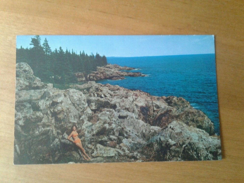 Maine: Ocean Drive - Acadia National Park - Mt. Desert Island - Unused Postcard-image