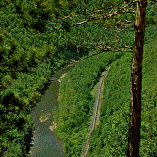Vintage Postcard  Pennsylvania's Grand Canyon Leonard Harrison Park Wellsboro PA