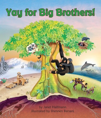 Yay for Big Brothers! by Janet Halfmann, Good Book