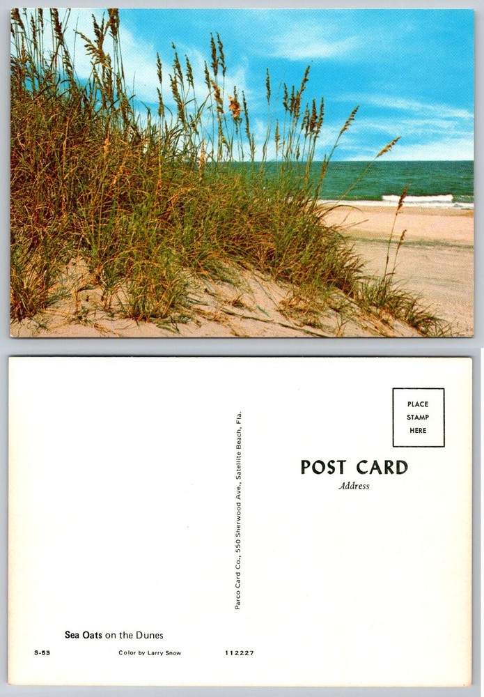 Vintage Satellite Beach Florida Postcard Sea Oats Dunes Ocean Chrome S-53