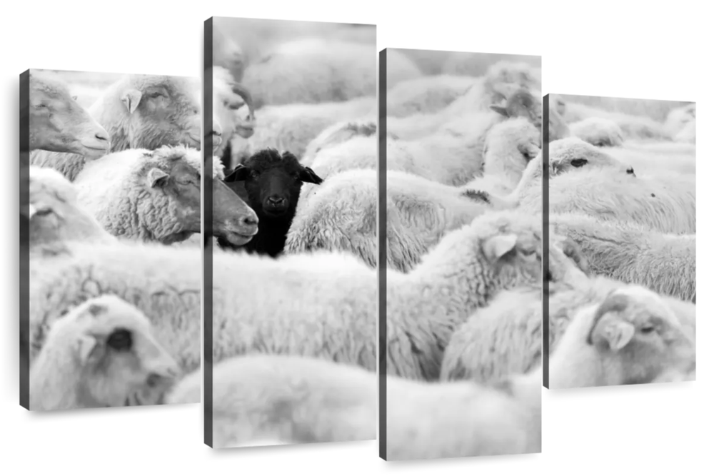 Distinct Black Sheep Wall Art