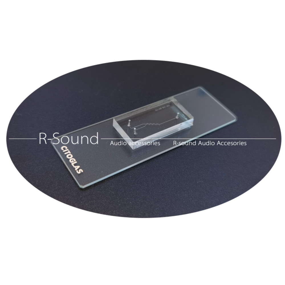 Microfluidic PDMS double-layer droplet LNP hybrid in-line electrode chip