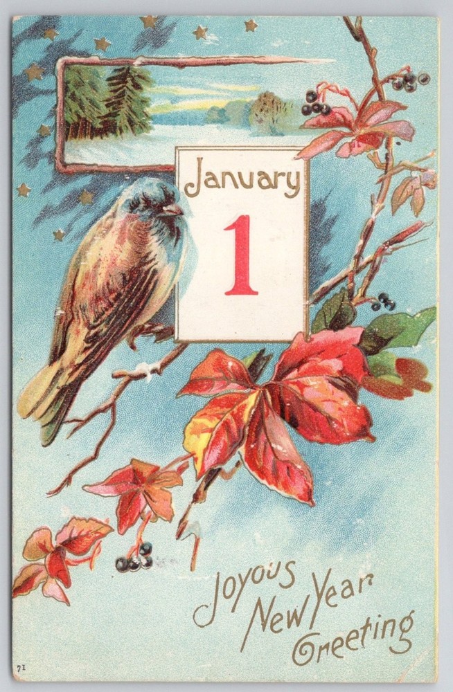 Vintage January 1 New Year Postcard Bird Winter Landscape Embossed 1900s