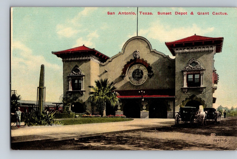 San Antonio TX Sunset Depot Giant Cactus White Horse & Buggy C1910 Postcard