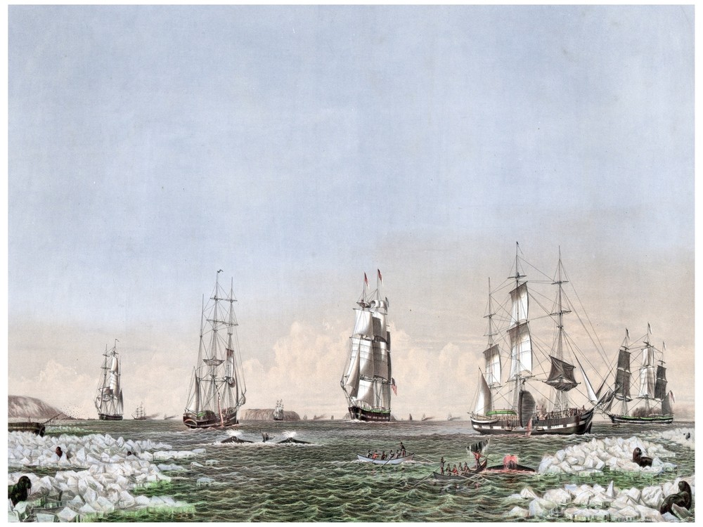 7835.Sail boats arrving to shore with small ships.walruses.POSTER.art wall decor