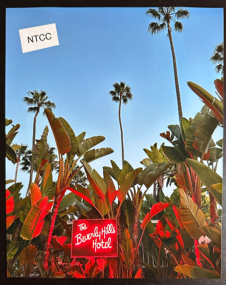 Beautiful Beverly Hills Hotel  8