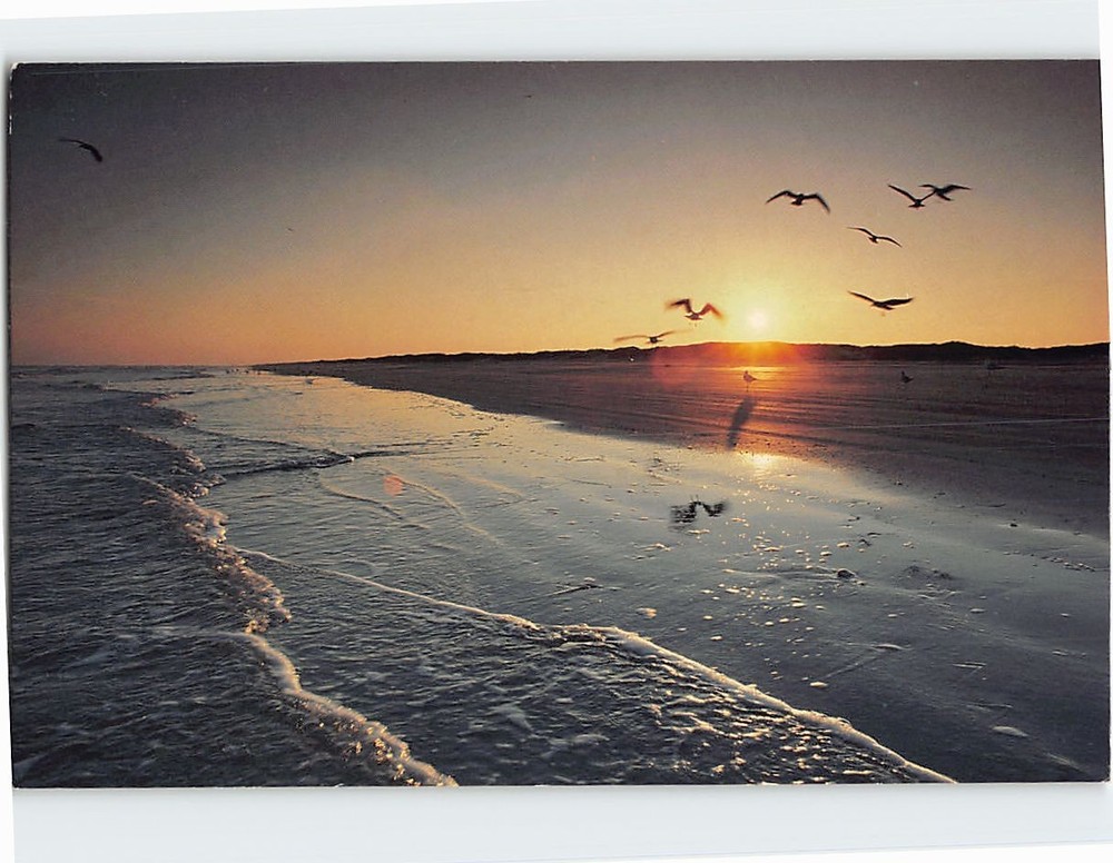 Postcard Sunset on the Beach Nature Scene