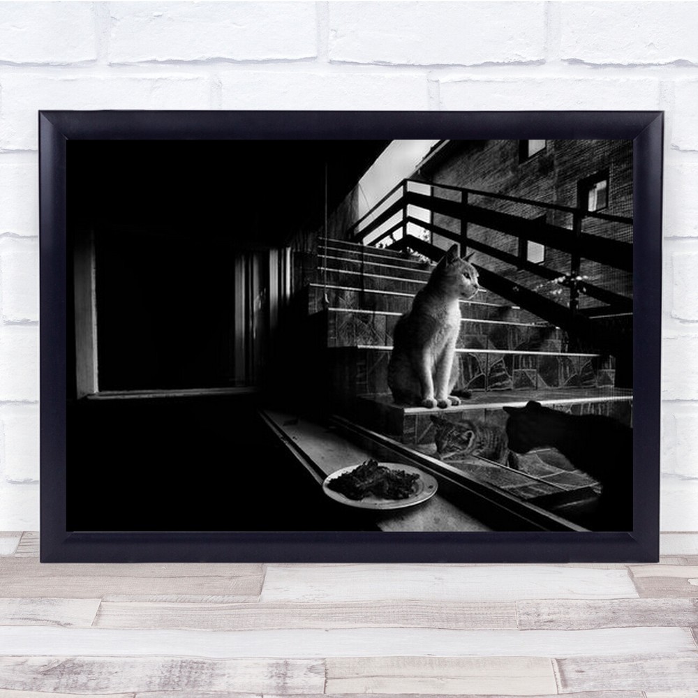 Cat Cats Animal Animals Pet Pets Stairs Staircase B&W Wall Art Print