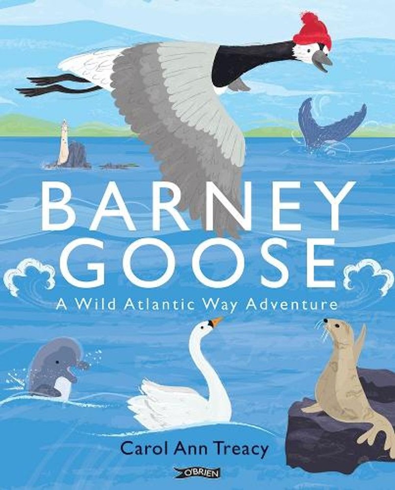 Barney Goose: A Wild Atlantic Way Adventure by Carol Ann Treacy Paperback Book