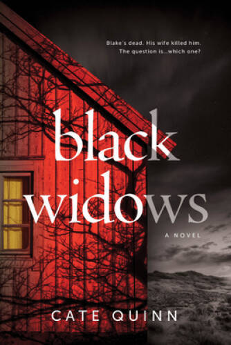 Black Widows Domestic Thriller Hardcover by Cate Quinn – Very Good Condition