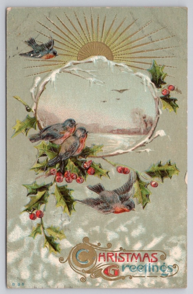 1912 Christmas Greetings Postcard Birds Holly Winter Scene Embossed Posted