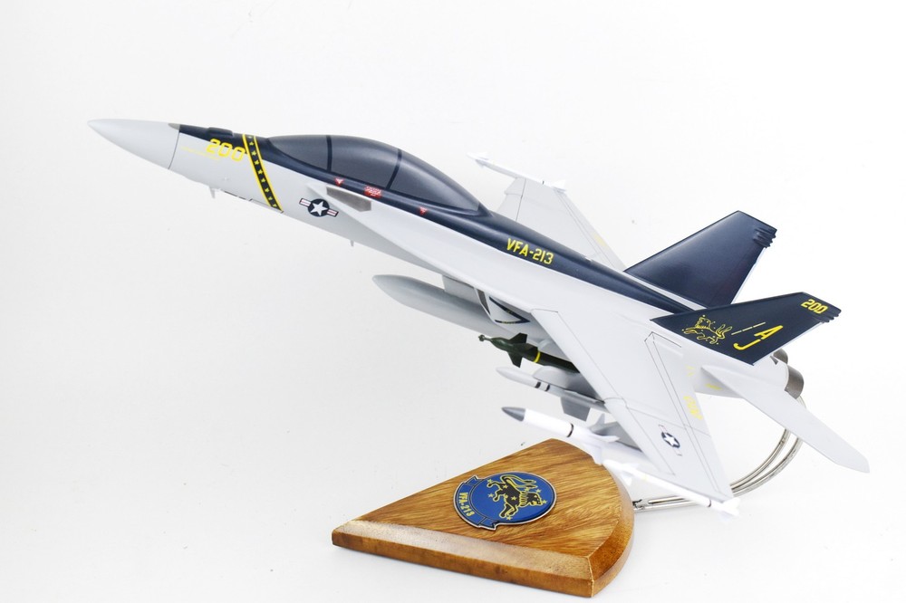 VFA-213 Fighting BlackLions F/A-18F Model, Navy, 1/40th (18