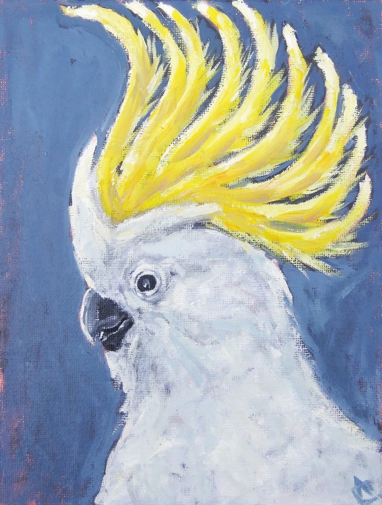 Parrot Painting Bird Original Art 6 by 8 Tropical Artwork Сockatoo Painting