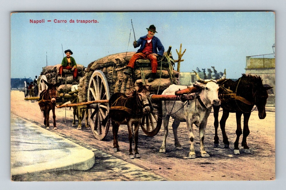 Italy- Naples Transport Wagon Oxen Souvenir Old Post Card View Vintage Postcard