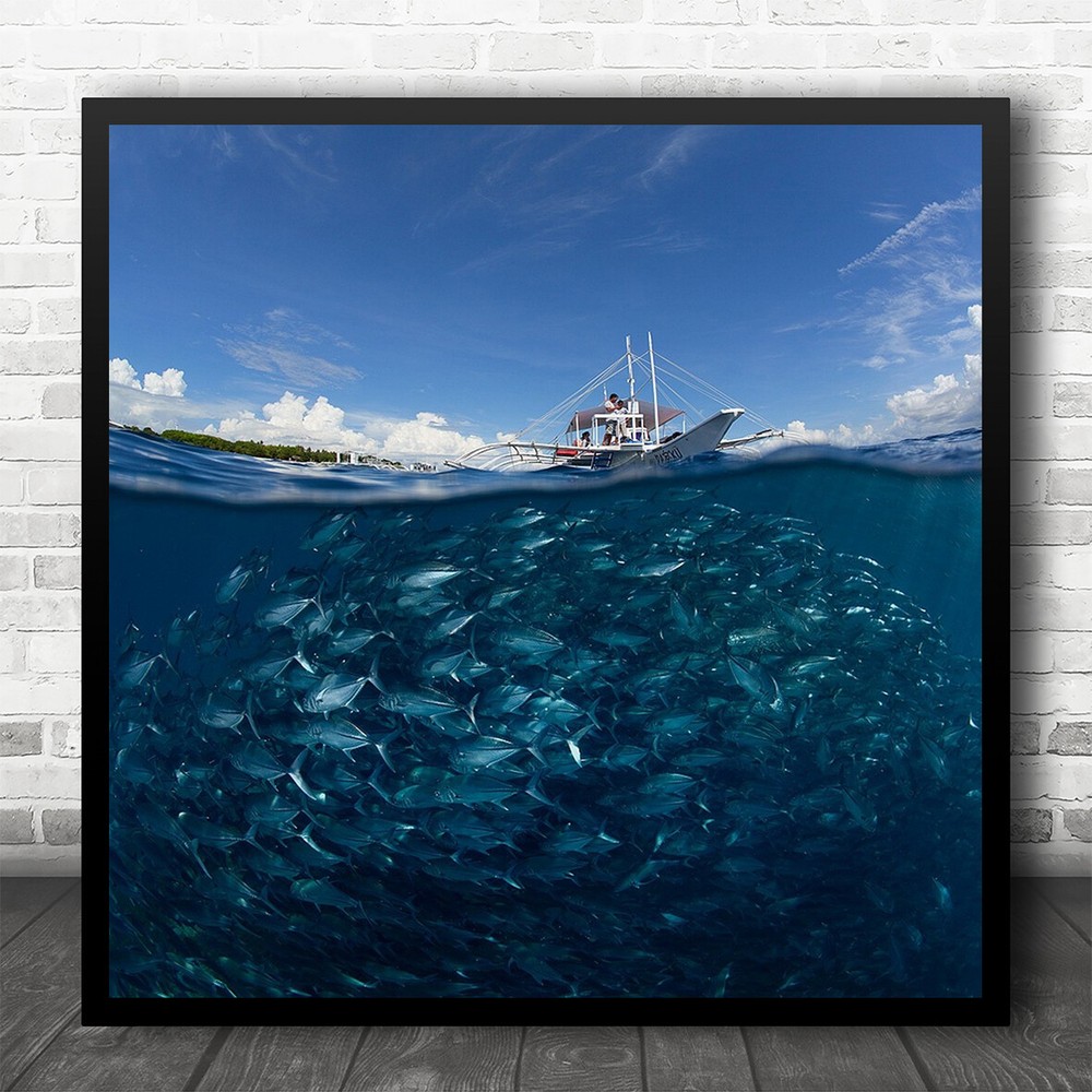 Fish Boat Sea Philippines Balicasag Underwater Ship Surface Square Print