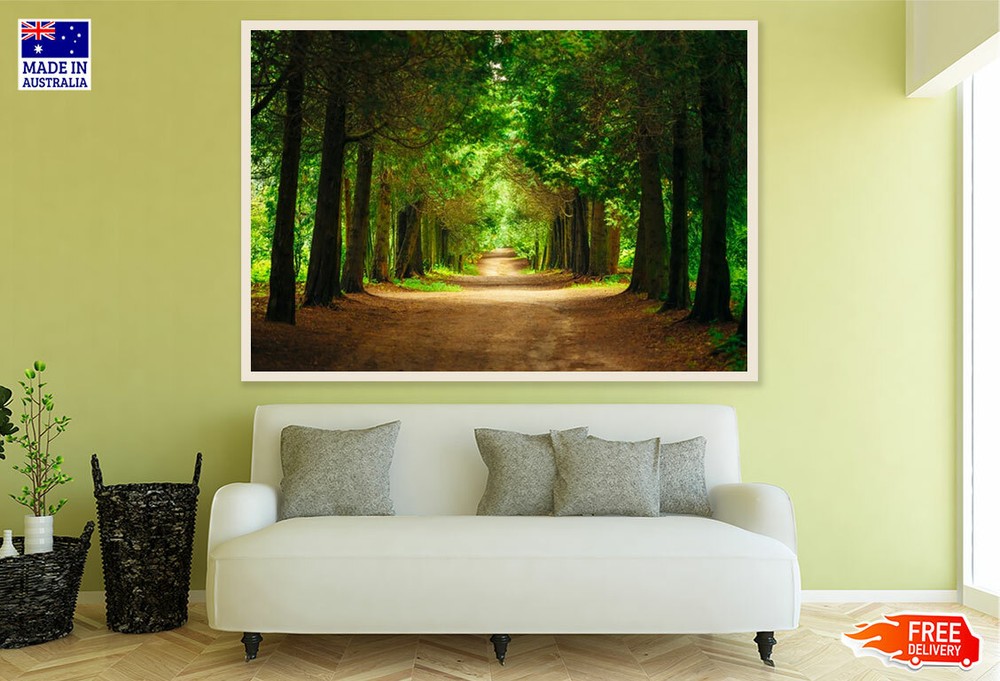 (Laminated) Trees Row Scenery Photograph 91x61cm