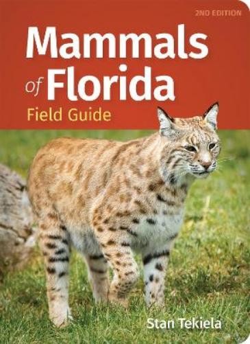 Stan Tekiela Mammals of Florida Field Guide (Paperback)Another great item from Rarewaves USA | Free delivery!