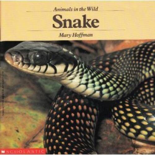 Snake (Animals in the Wild) - Paperback By Hoffman, Mary - GOOD