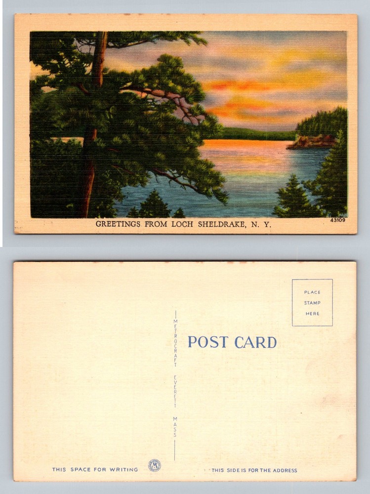 Loch Sheldrake, NY-New York, Scenic Lake & Pine Tree Sunset Vintage Postcard