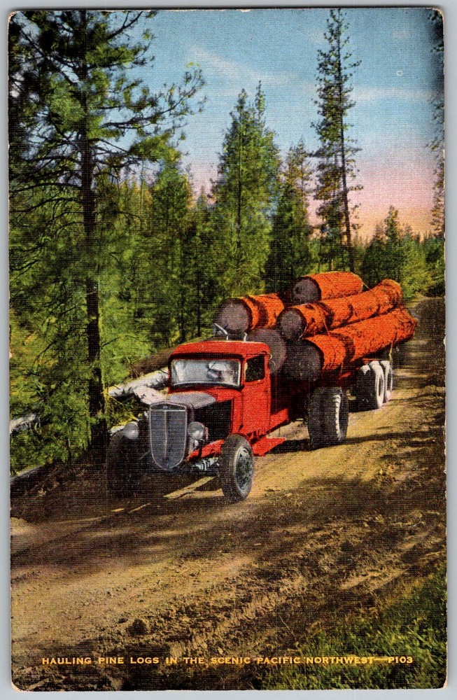 Vtg Linen Postcard Logging Truck Hauling Pine Pacific Northwest 1930s