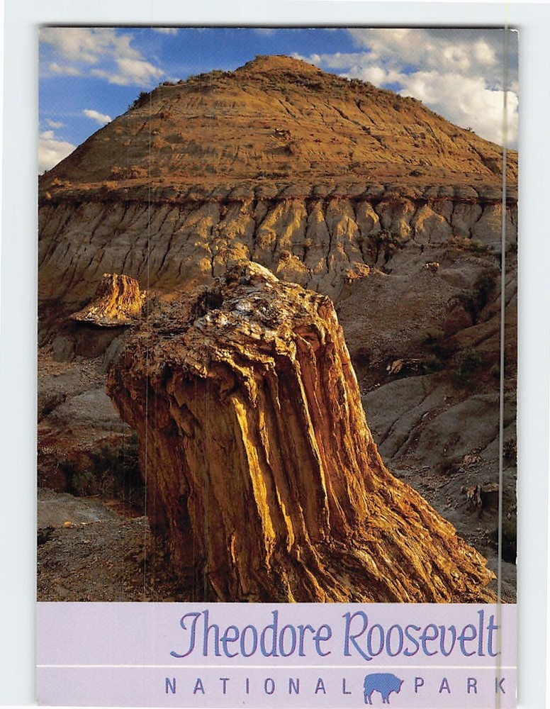 Postcard Theodore Roosevelt National Park North Dakota USA