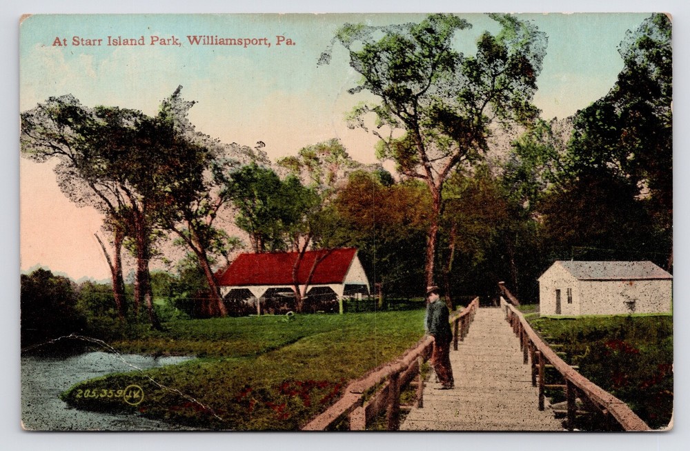 c1908 Starr Island Park Man & Bridge Williamsport Pennsylvania PA Postcard