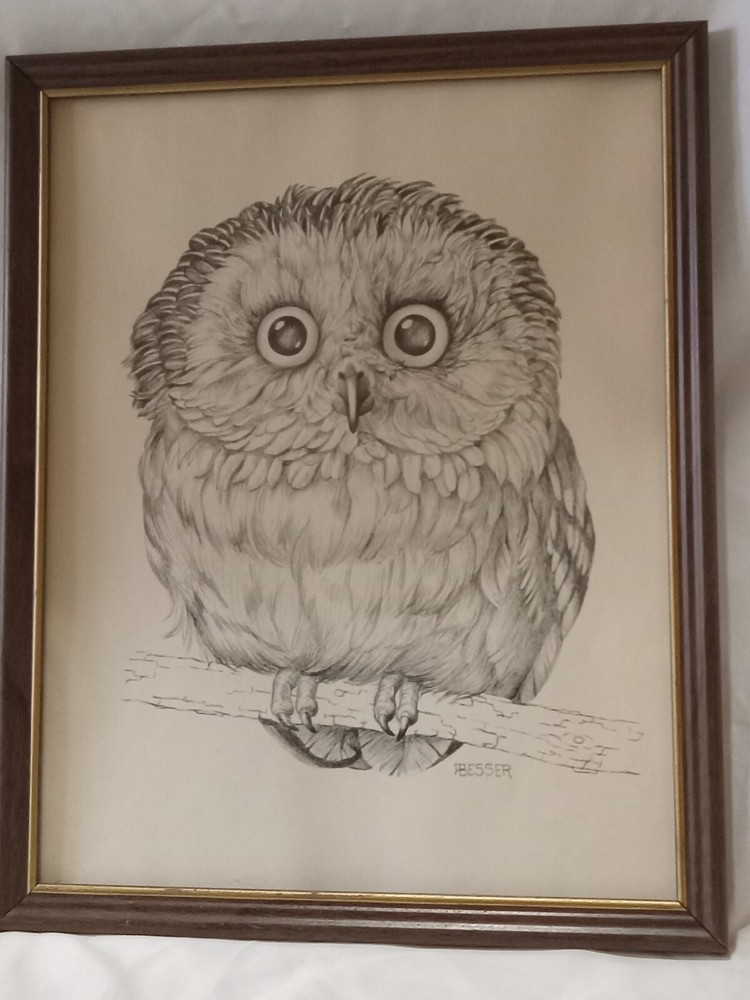 Owl Pencil Drawing Framed Signed Detailed P Besser Artist