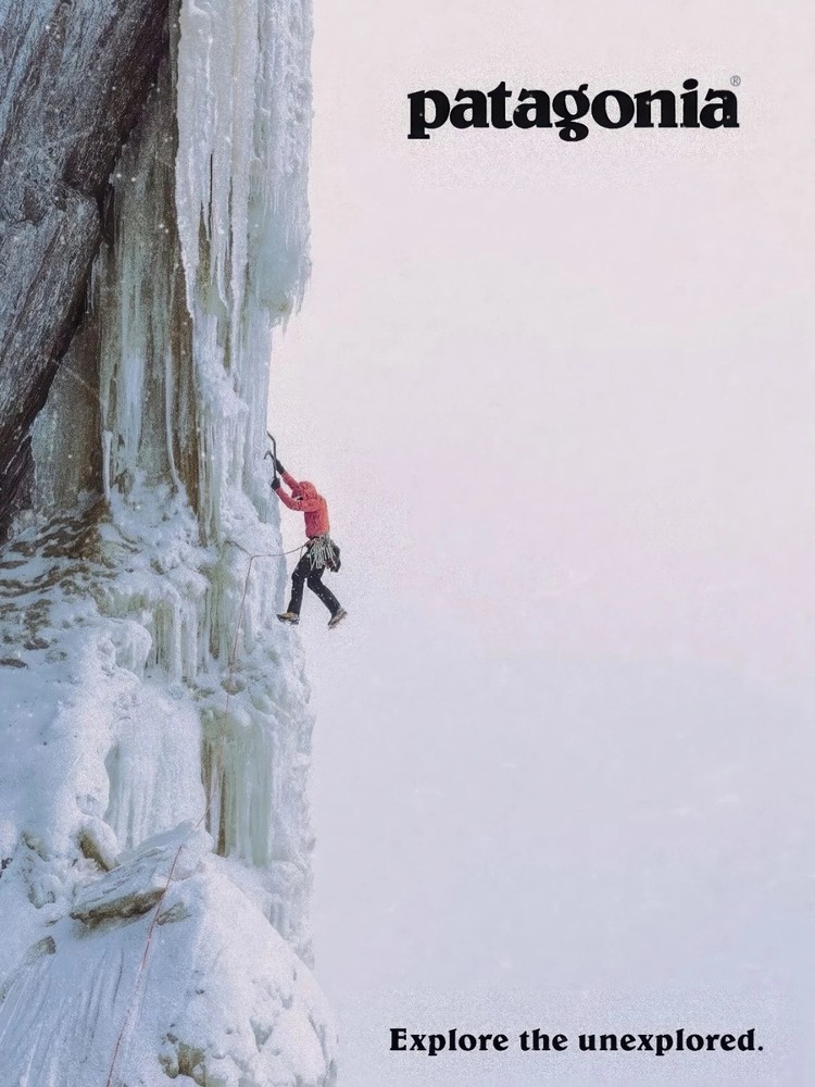 Patagonia Advertisement Vintage Poster