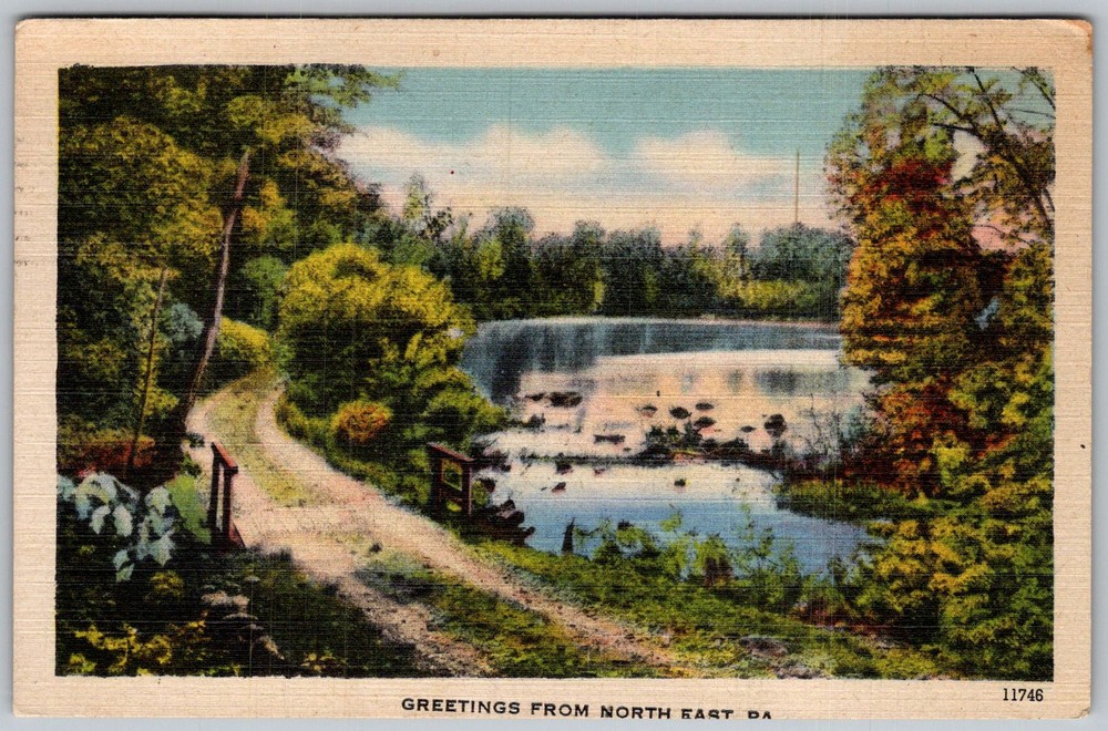 Vtg Linen Postcard Lake Erie Waterfall Path North East, PA 1940s