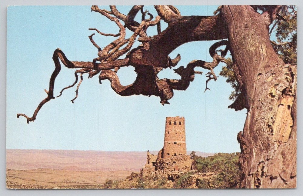 Desert View Watchtower Grand Canyon AZ Fred Harvey Plastichrome Postcard