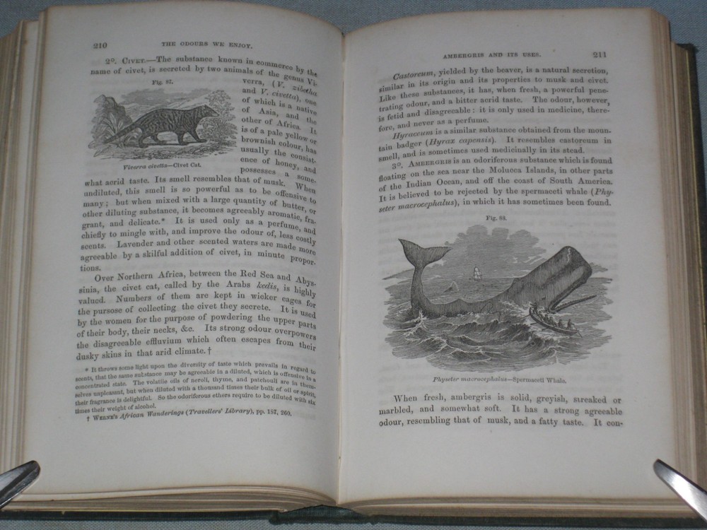 1857 Book The Chemistry Of Common Life Vol.ii By James F. Johnston