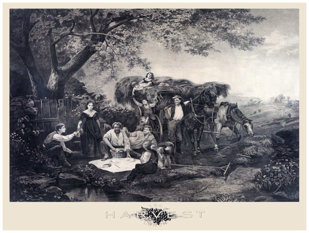 Decor Poster. Fine Graphic Art. B & W Harvest Poster. Home Wall Design. 1117