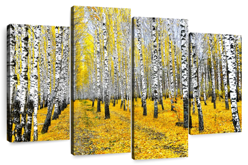 Autumn Birch Forest Trees Wall Art