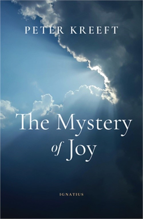 The Mystery of Joy (Paperback or Softback)
