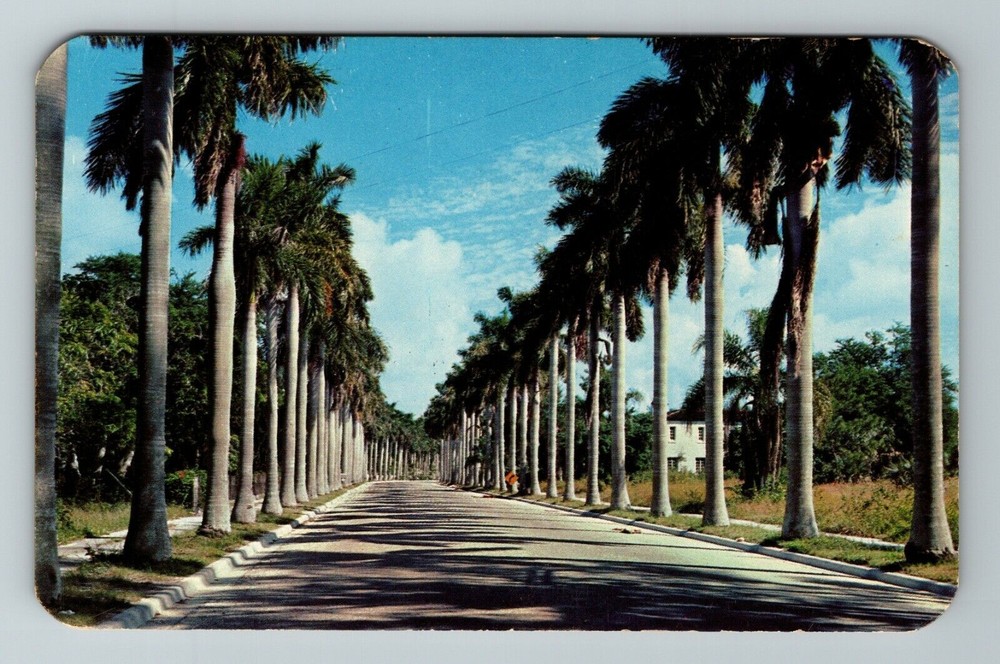 Fort Myers FL-Florida, World Famous McGregor Boulevard, Vintage Postcard