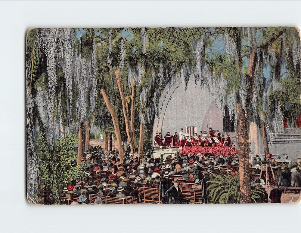 Postcard Daily Band Concert In Williams Park St Petersburg Florida