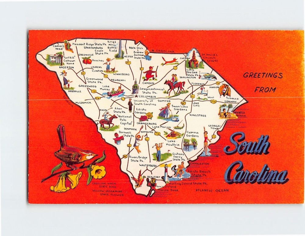 Postcard Greetings from South Carolina USA