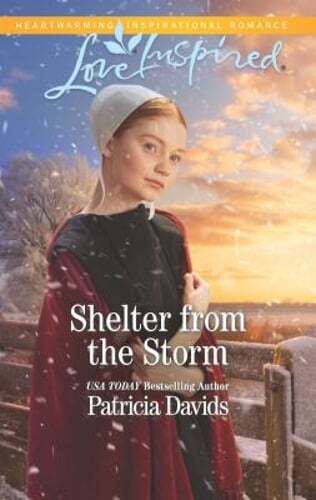 Shelter from the Storm by Patricia Davids: Used