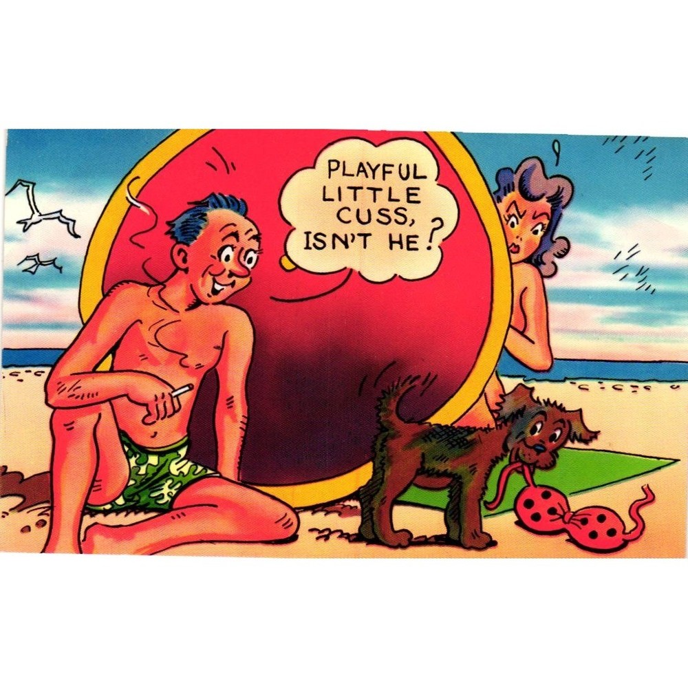 Vintage Tichnor Gloss Humorous Beach Postcard Dog Stealing Bikini Top Linen G33