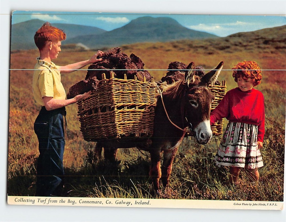 Postcard Collecting Turf from the Bog Connemara County  Galway Ireland